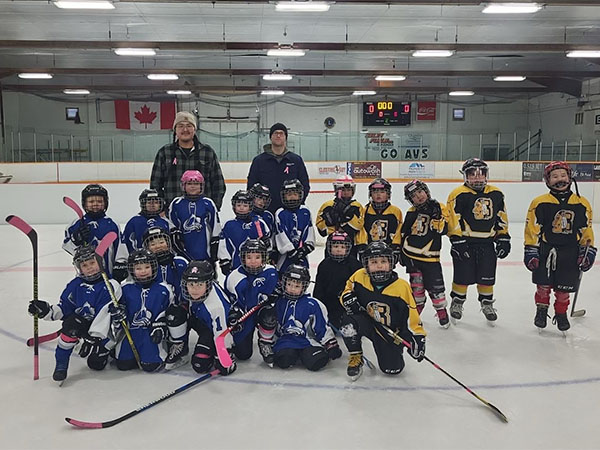 Aréna in Ile Des Chenes,Manitoba img two