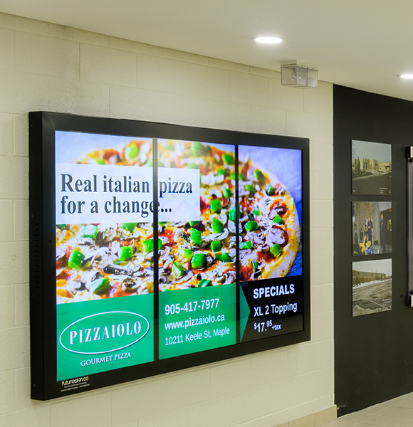 Highlights and Results